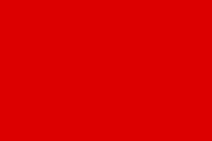 Socialist red flag.svg.png